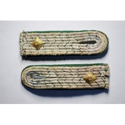 Pair of Customs Shoulderboards