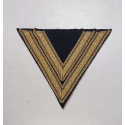W-SS Tropical Chevron for a...